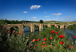 Puente de Bri&ntilde;as