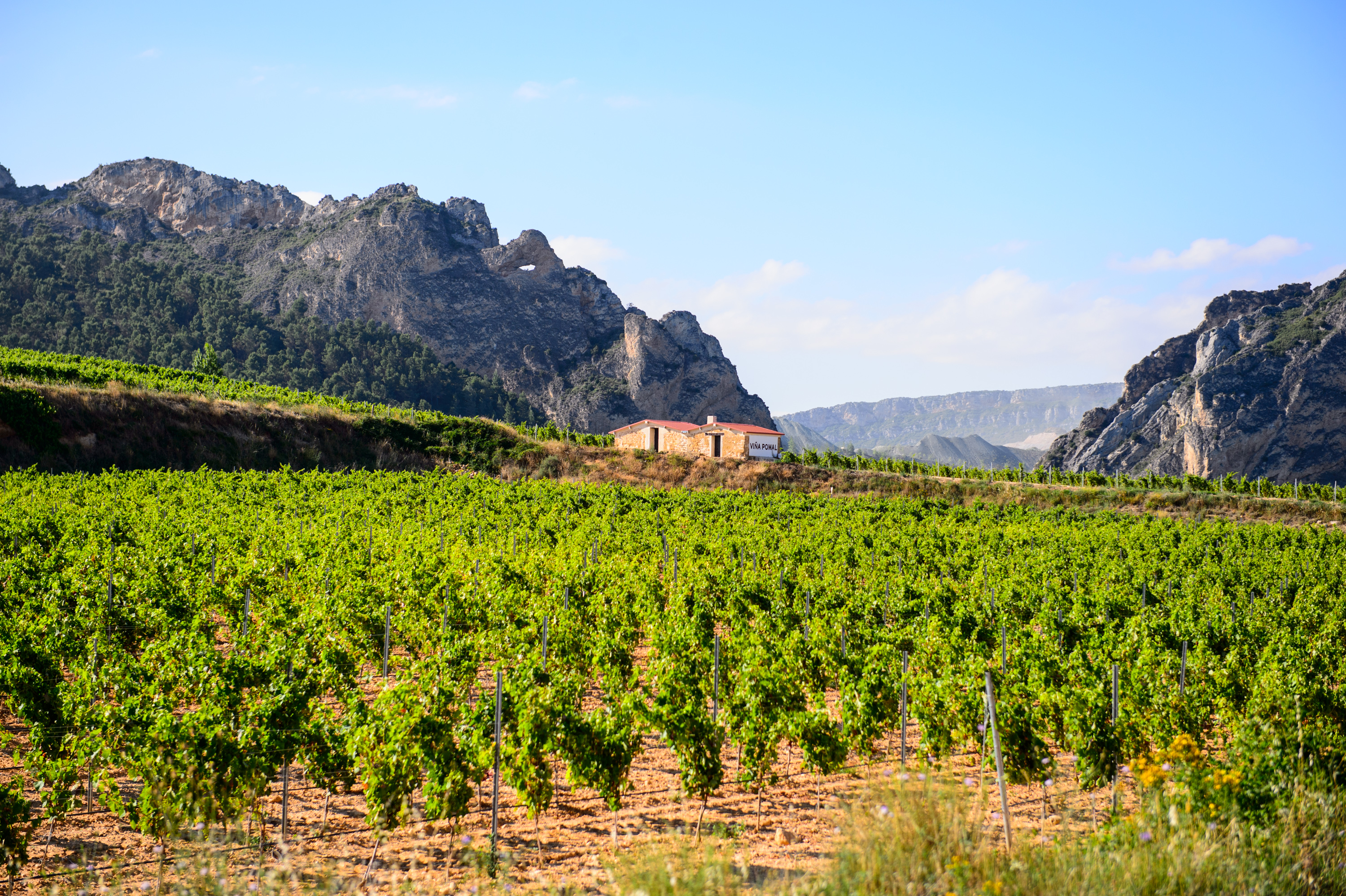 Bodegas Bilbainas