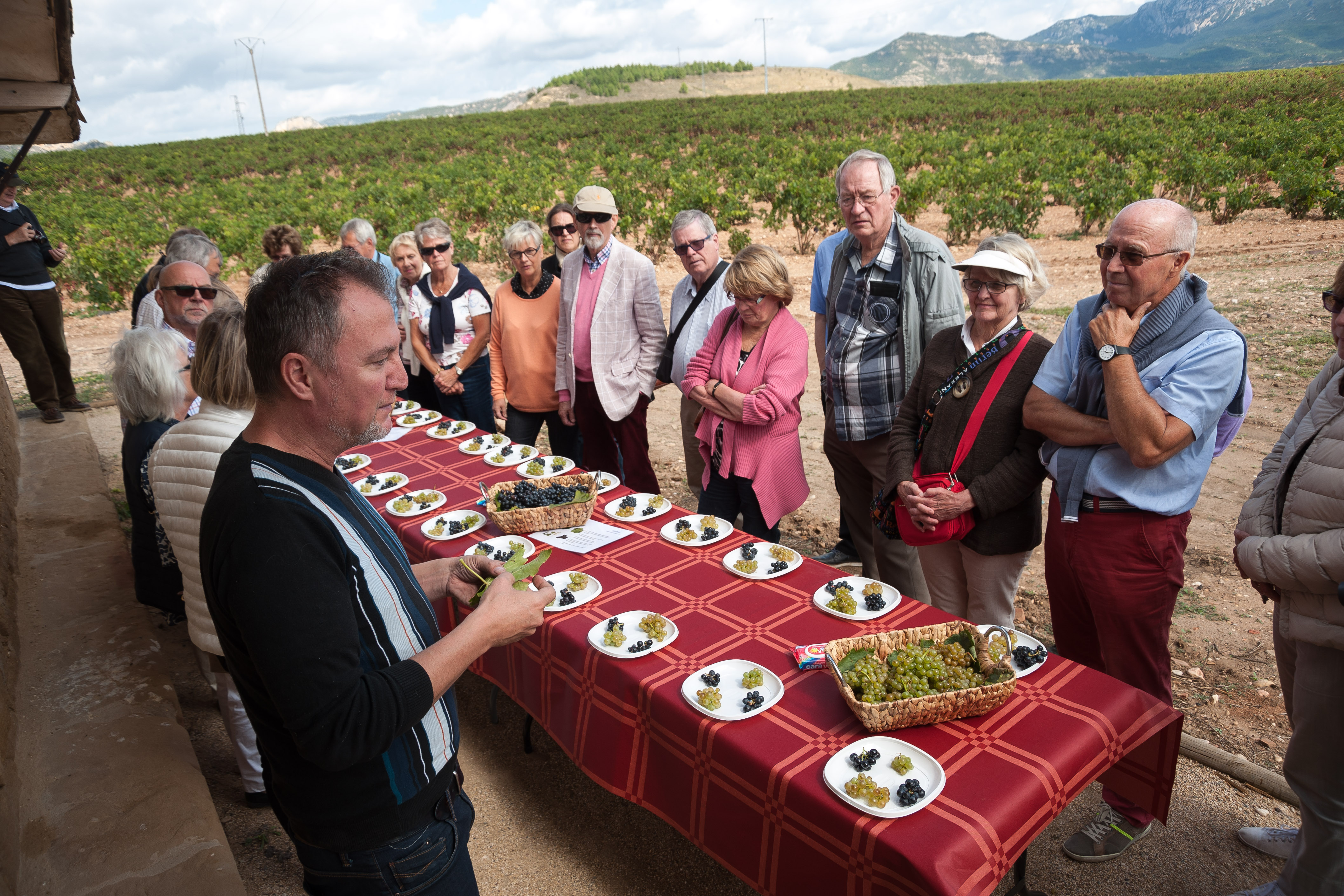 Bodegas Bilbainas