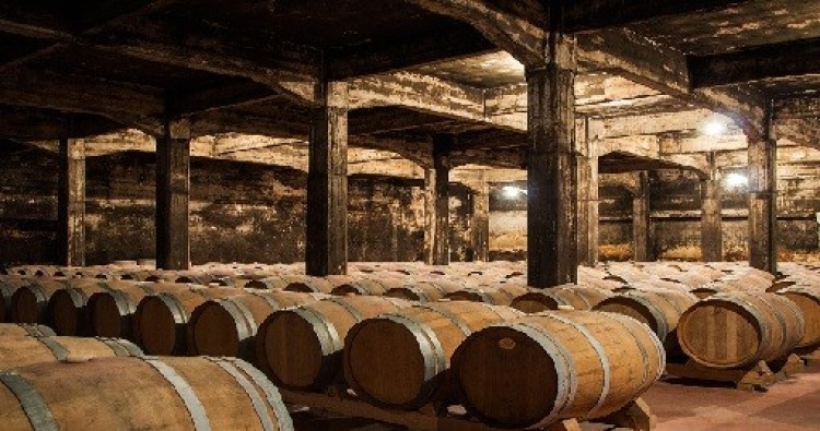 Bodegas Manzanos Haro
