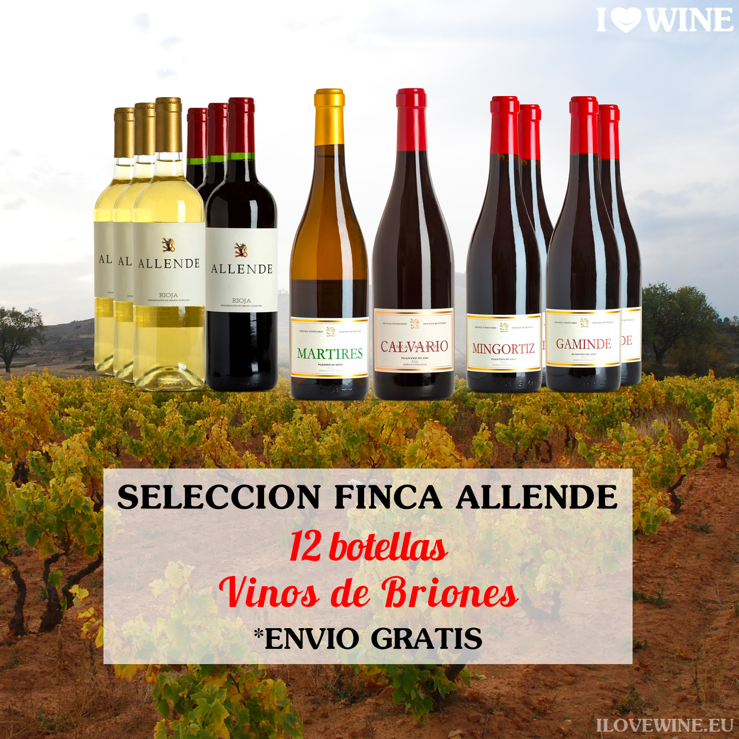 I love Wine. Eu