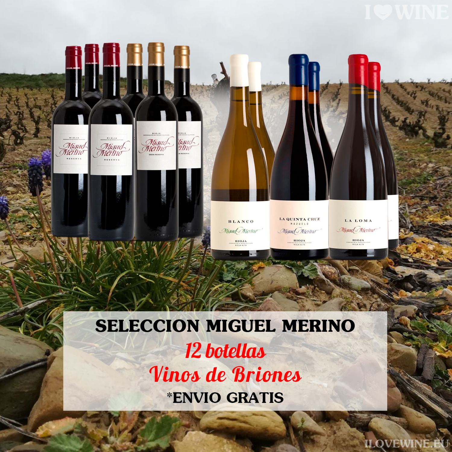 I love Wine. Eu