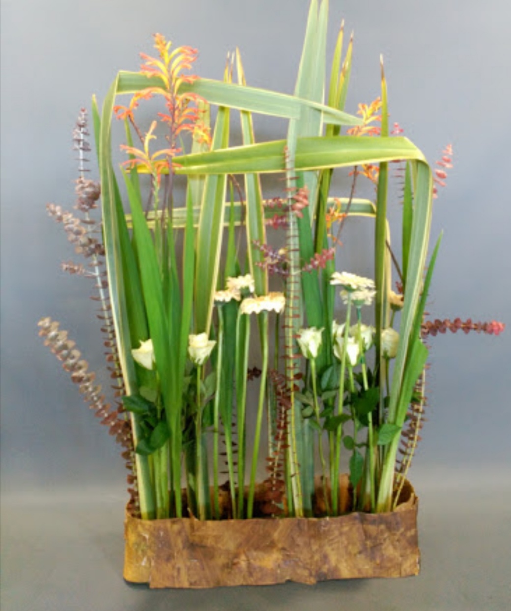 Marta Floristeria