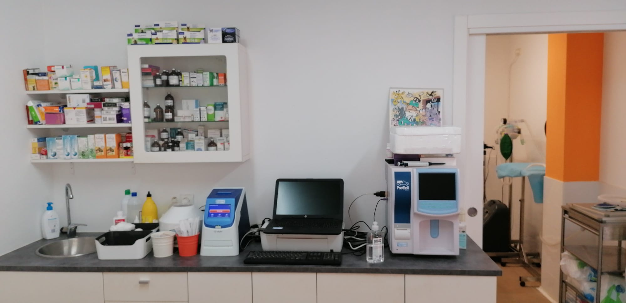 Clinica Veterinaria Haro