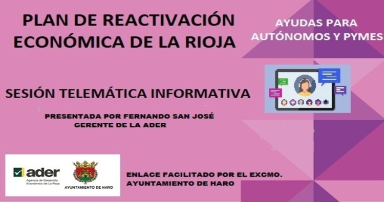 Cerca de 30 personas participan en la webinar sobre ayudas a la reactivación económica