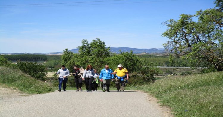 Cerca de una veintena de personas participan en la última edición de los Paseos Saludables