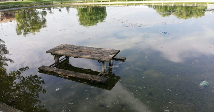 Un mesa de madera arrojada al estanque del Mazo