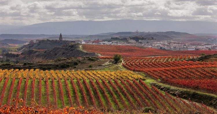 Haro dará a conocer públicamente los pilares de su candidatura a Ciudad Europea del Vino 2