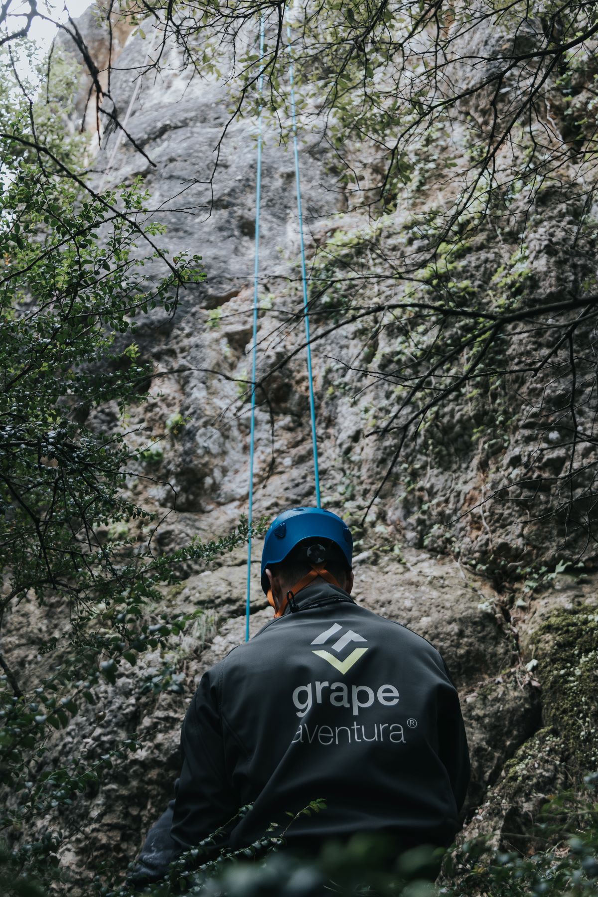 Grape Aventura