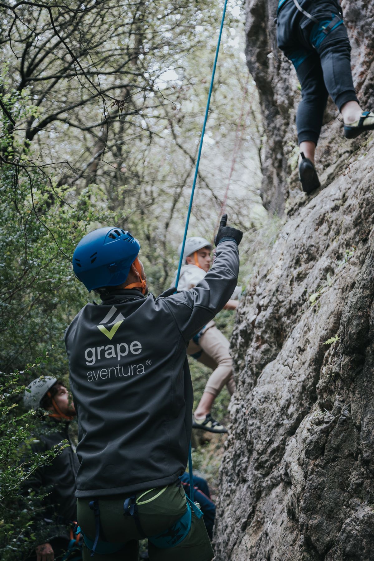 Grape Aventura